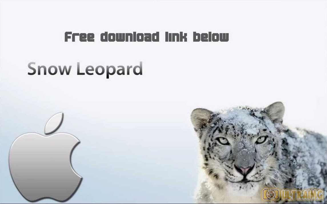 how to burn snow leopard dmg to dvd player
